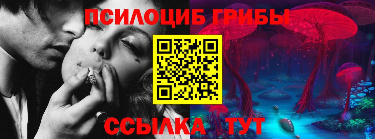 Галлюциногенные грибы ЛСД Балтийск